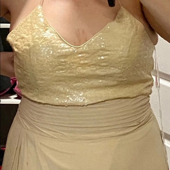 JJs House Dress - size 18W - Champagne - Picture 8 of 13